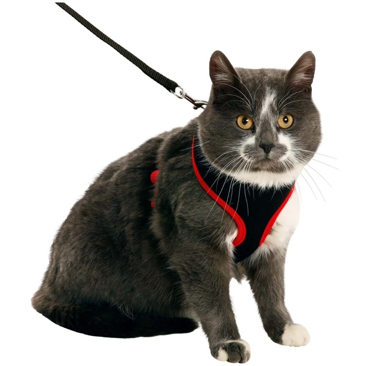 Flamingo Harms Cat Harness & Leash Red & Black | Adjustable Safety Harness for Cats