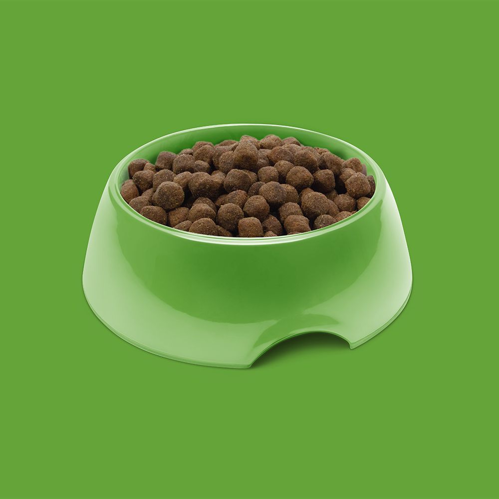 Symply Fresh Lamb All Adult Breeds Dry Dog Food