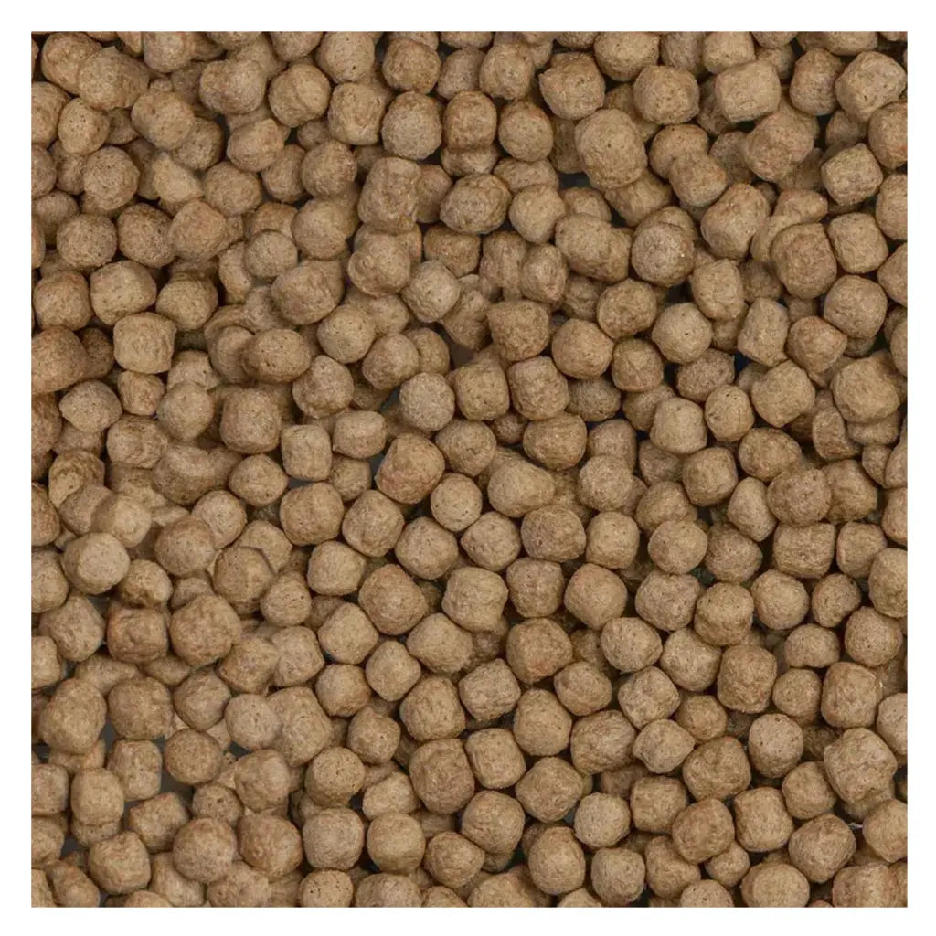 Sera Koi Royal Nature Large | Premium Koi Food for Large Koi | 21L
