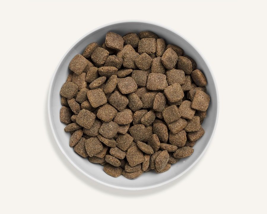 Canagan Grass-Fed Lamb Dry Dog Food 12kg