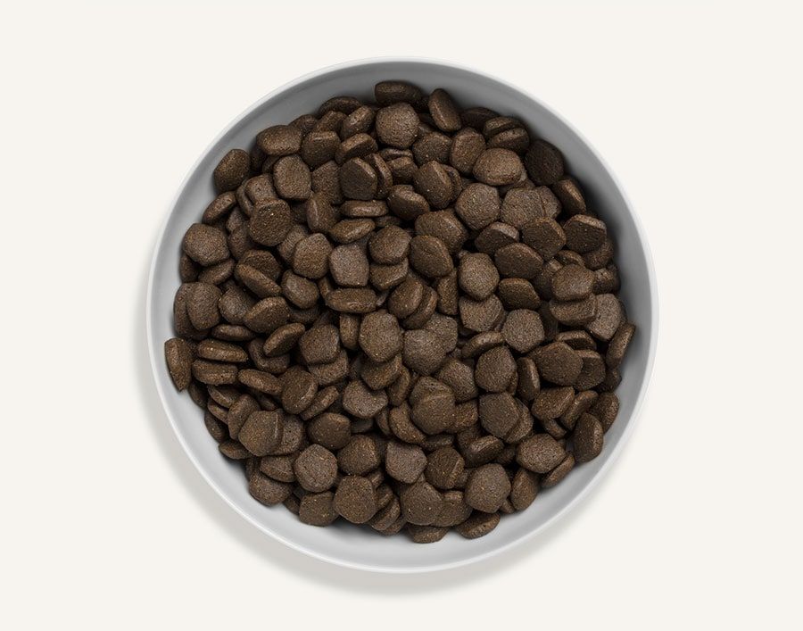 Canagan Scottish Salmon Dry Dog Food 12kg