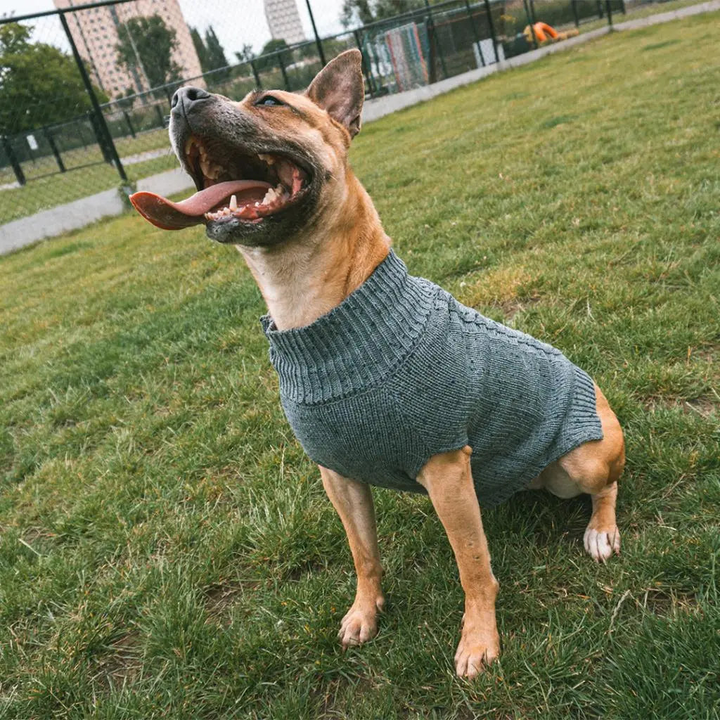 Duvo+ Dog Sweater Cozy Grey M | Knitted Winter Sweater for Medium Dogs 50cm