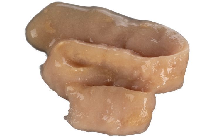 Flamingo Deli Yumm Fresh Meat Snack Tuna & Shrimp Cat Treats 70g | Grain-Free Lickable Cat Treats