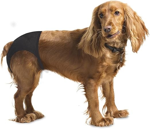 Duvo+ Dog Pants M 32-39cm | Washable Heat Cycle Pants for Female Dogs