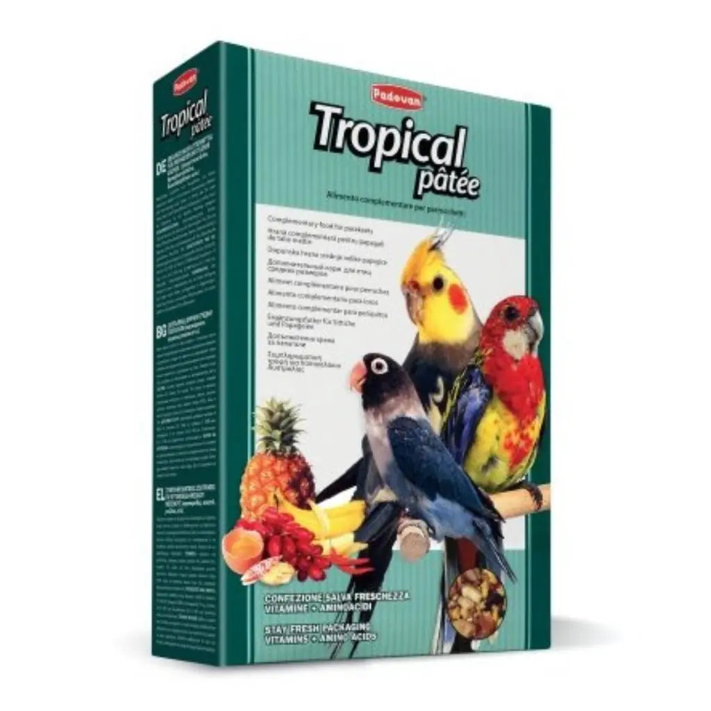 Padovan Tropical Patee 700g | Soft Complementary Food for Tropical Birds