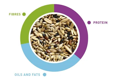 Padovan Naturalmix Canarini 1kg | Complete Feed for Canaries