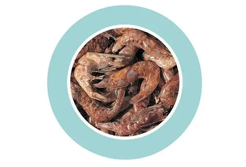 Padovan Shrimps 160g | Natural Dried Shrimp Food for Freshwater Turtles