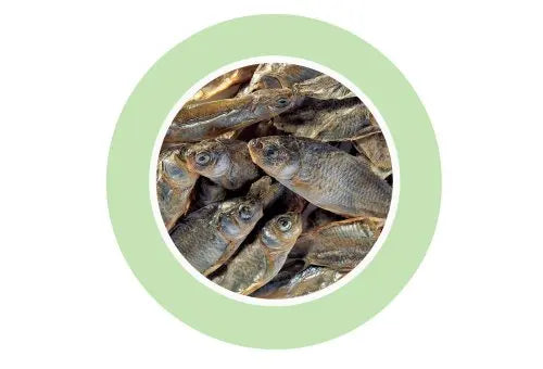 Padovan Fishes 160g | Dried Fish Food for Freshwater Turtles