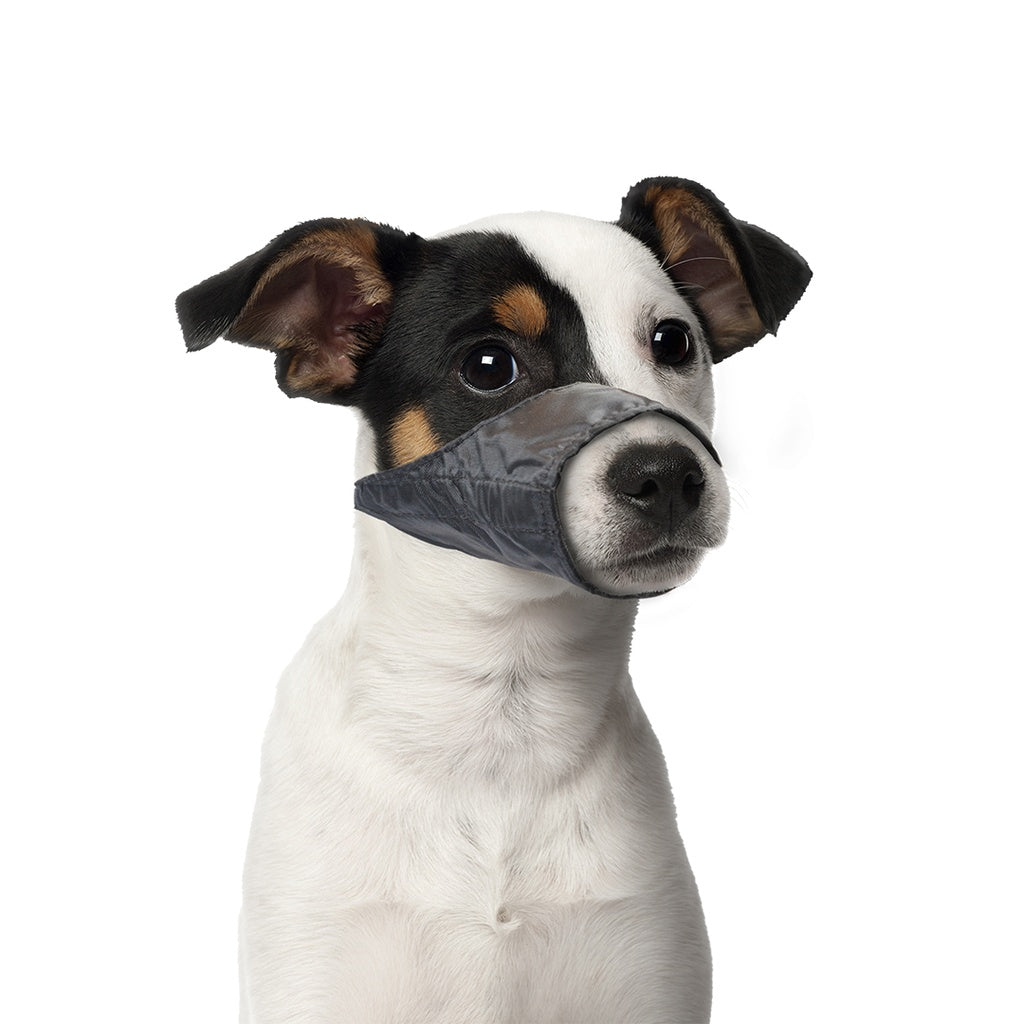 Duvo+ Dog Muzzle Nylon S 43-64cm | Lightweight Training Muzzle for Small Dogs