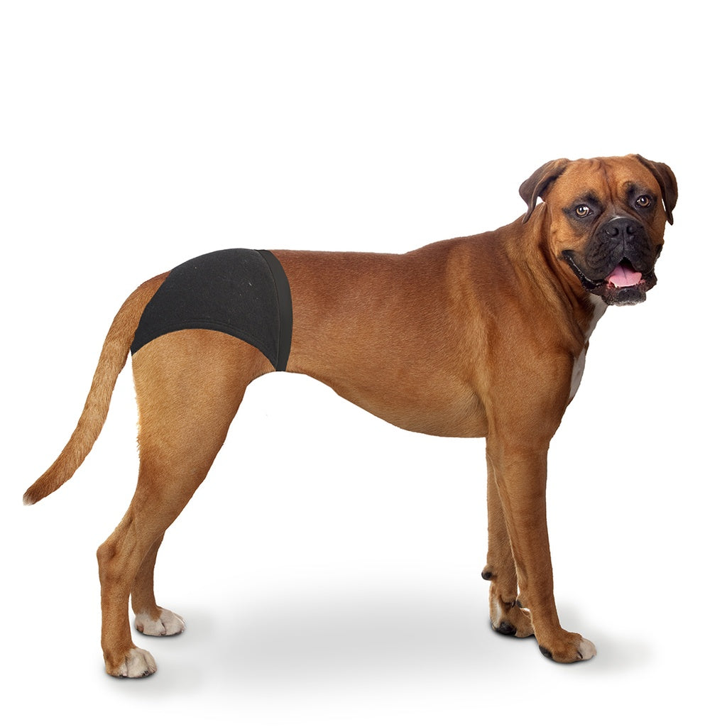 Duvo+ Dog Pants L 40-49cm | Hygienic Heat Cycle Pants for Female Dogs