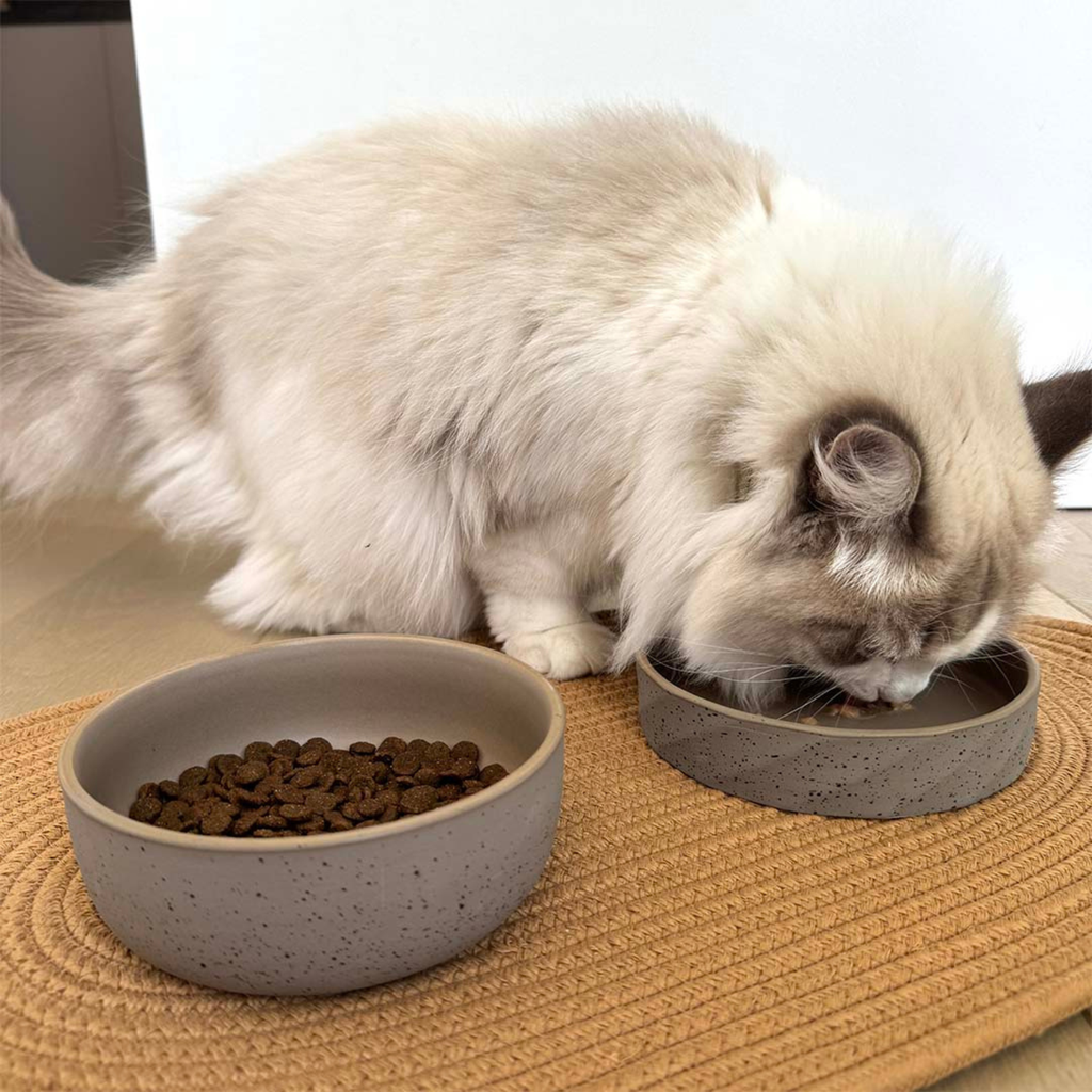 Duvo Feeding Bowl Stone Smooth Dune Medium 680ml | Ceramic Feeding Bowl