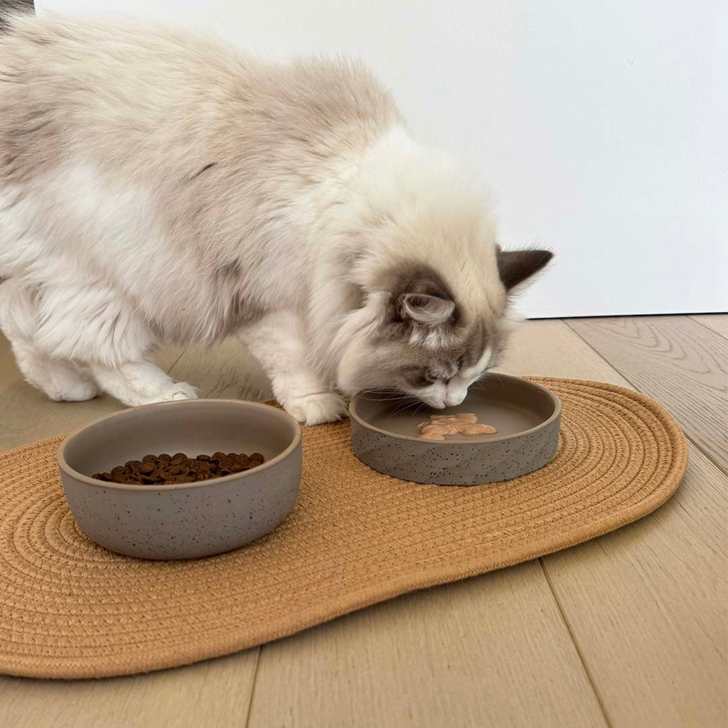 Duvo Feeding Plate Stone Wavy Dune 260ml | Ceramic Feeding Bowl