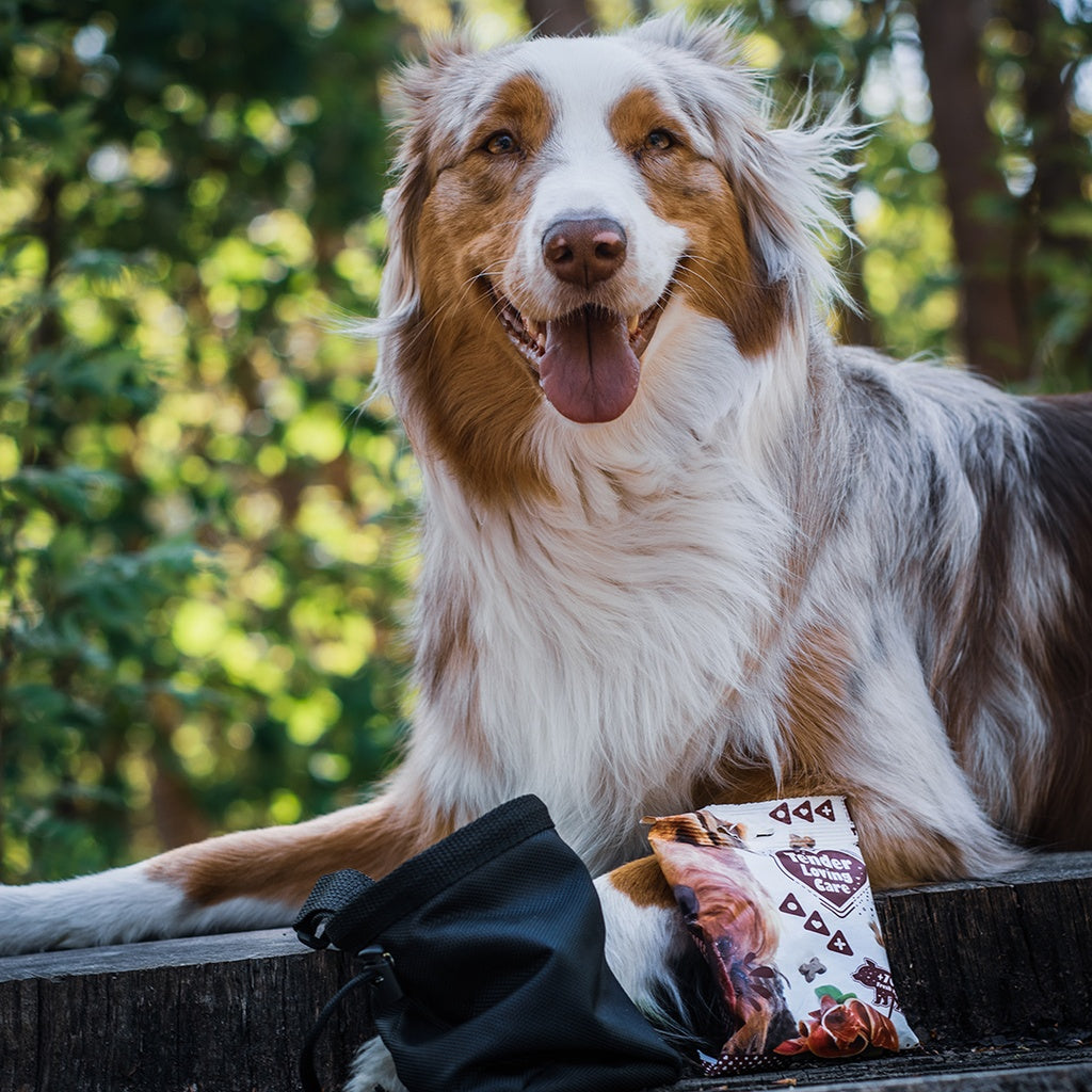 Duvo+ Soft Snack Salmon 100g | Salmon & Chicken Training Treats for Dogs