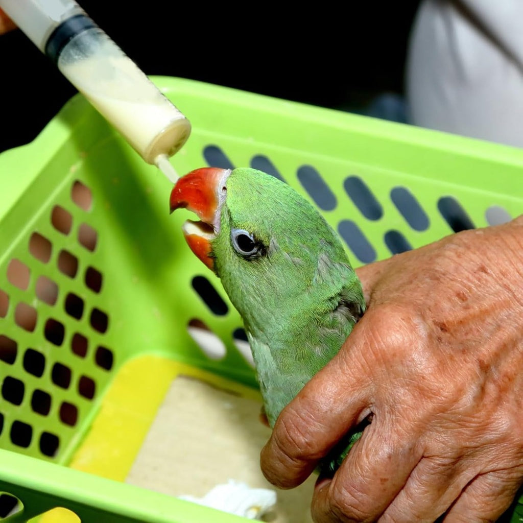 Duvo+ Spray For Manual Feeding 10ml | Hand-Feeding Tool for Parakeets, Parrots & Nestlings