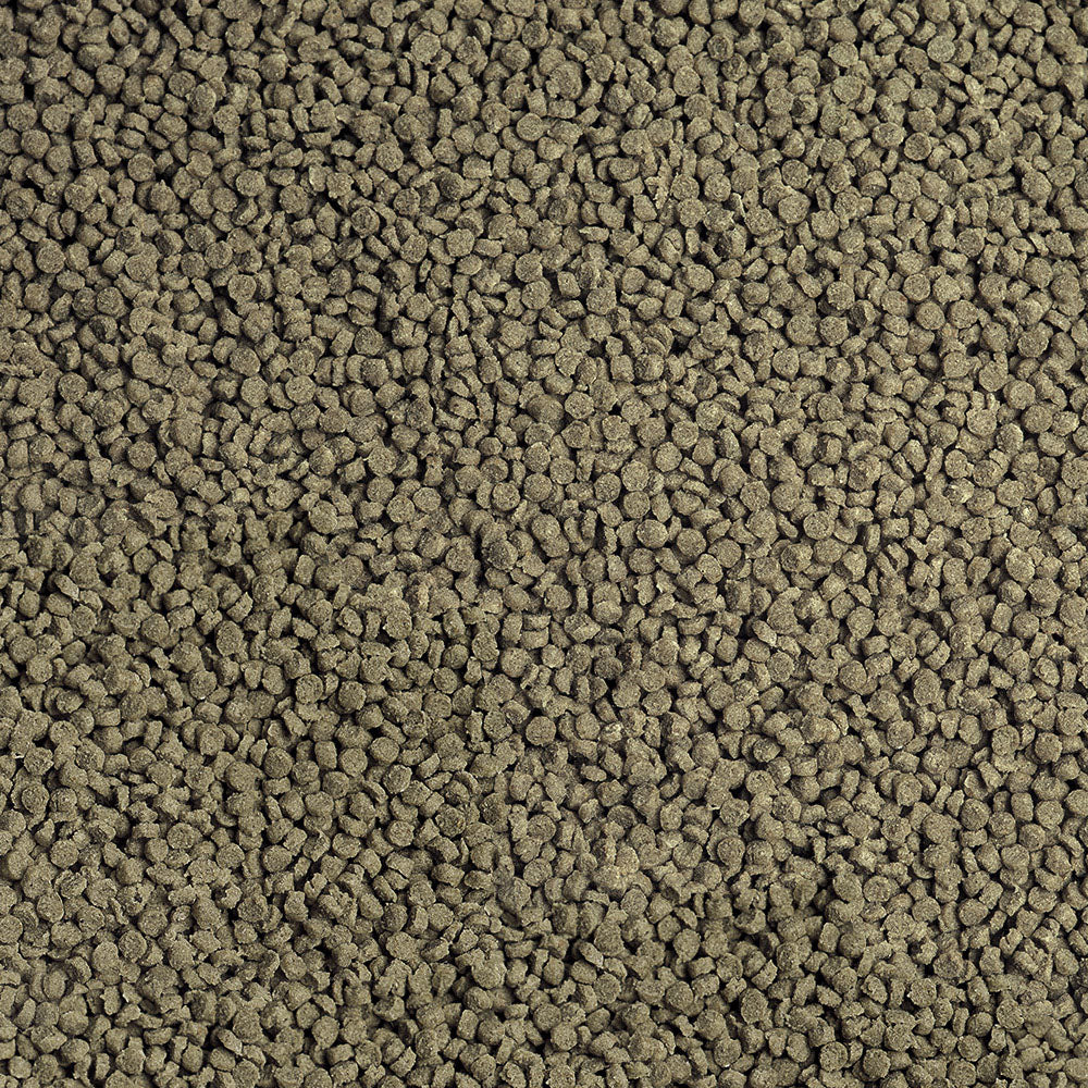 Sera Cichlid Malawi Granules (Granugreen) 1000ml | Plant-Based Food for Cichlids