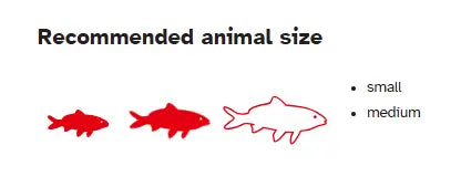 Sera Goldy Nature Fish Food 250ml | Complete Flake Food for Goldfish