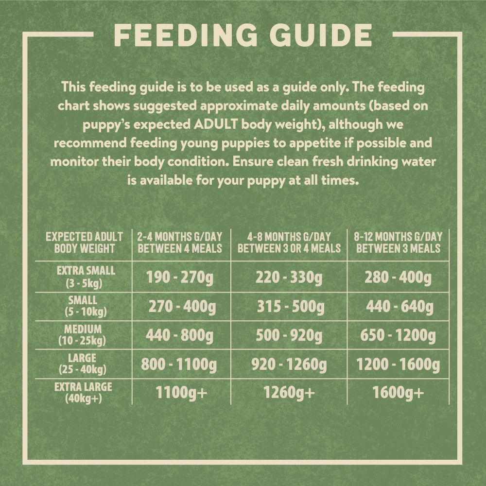Harringtons Tasty Chicken & Farm-Grown Veg Grain Free Wet Dog Food | Complete Adult | 400g