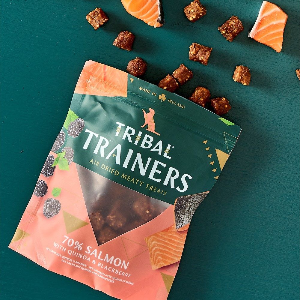 Tribal Trainers Salmon, Quinoa & Blackberry | 70% Salmon | Air Dried Meaty Treats | Puppy 8+ Weeks | Made in Ireland | 70g