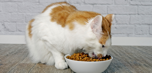 Best Cat Food for Sterilized Cats