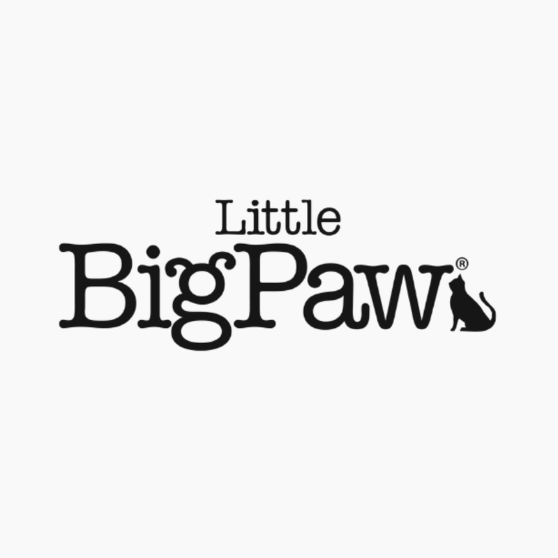 Little Big Paw