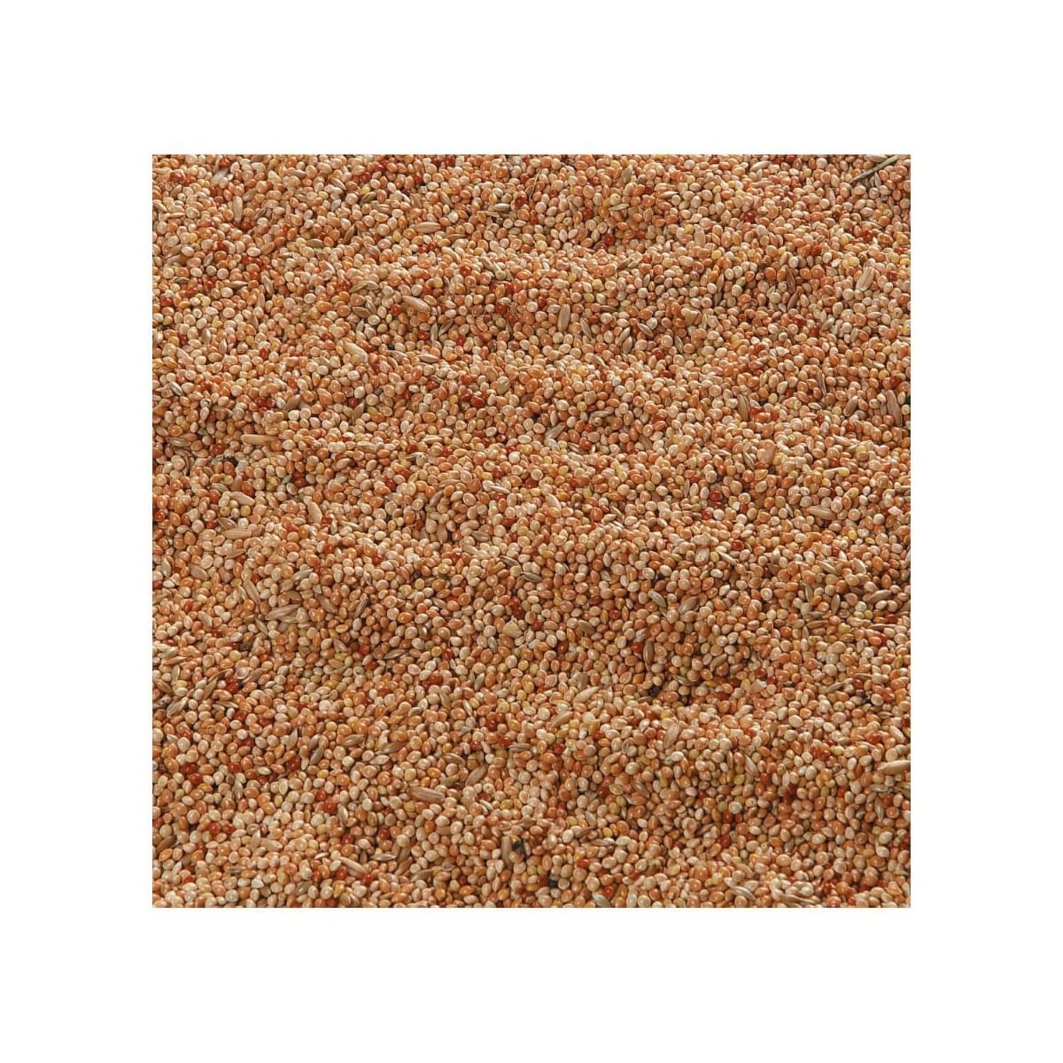 Flamingo Parakeet Bird Food 1kg | Complete & Balanced Nutrition for Parakeets