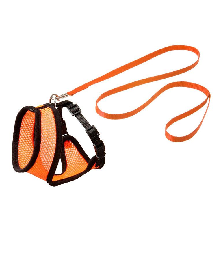 Flamingo Harms Kitten Harness & Leash Red/Black & Orange/Black | Adjustable Starter Harness for Kittens