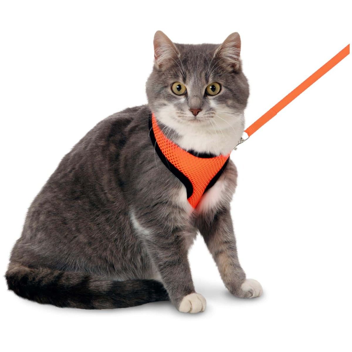 Flamingo Harms Cat Harness & Leash Orange & Black | Adjustable Safety Cat Vest