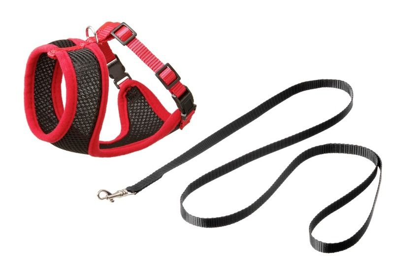 Flamingo Harms Kitten Harness & Leash Red/Black & Orange/Black | Adjustable Starter Harness for Kittens