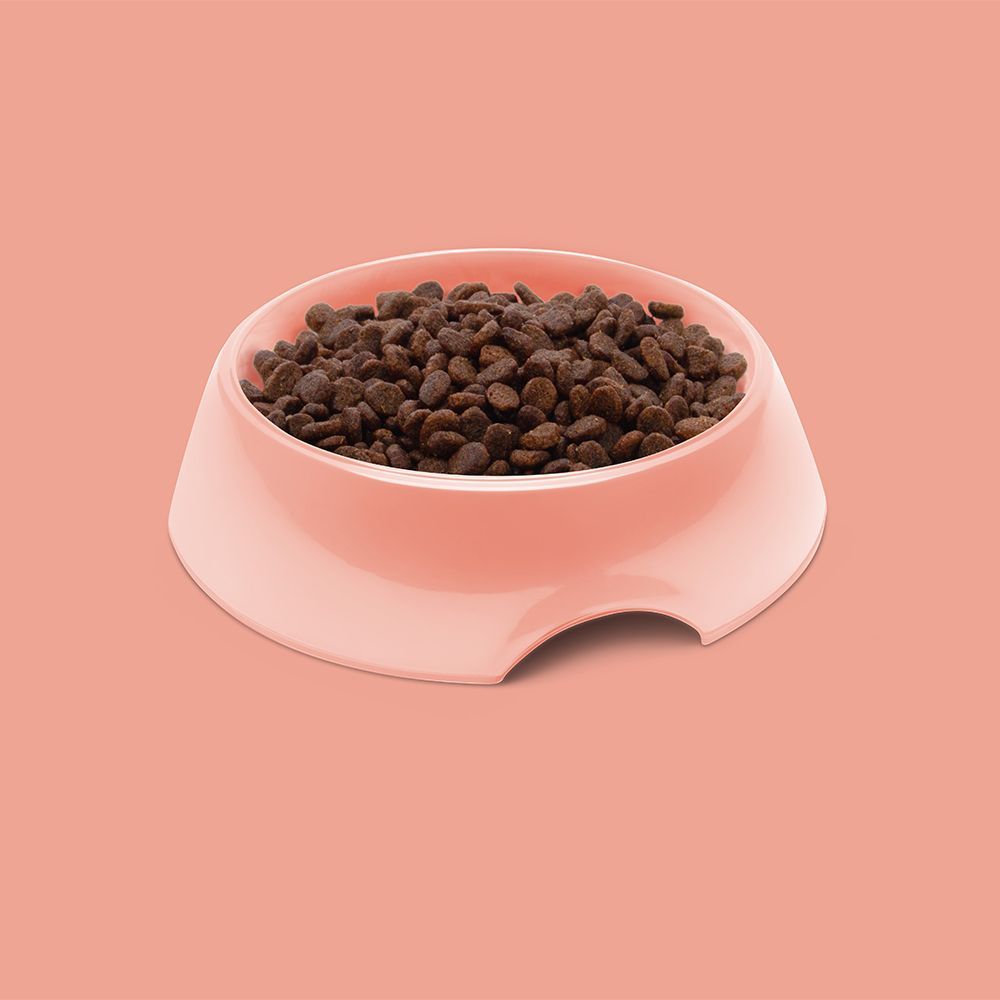 Symply Fresh Salmon All Lifestages Dry Cat Food