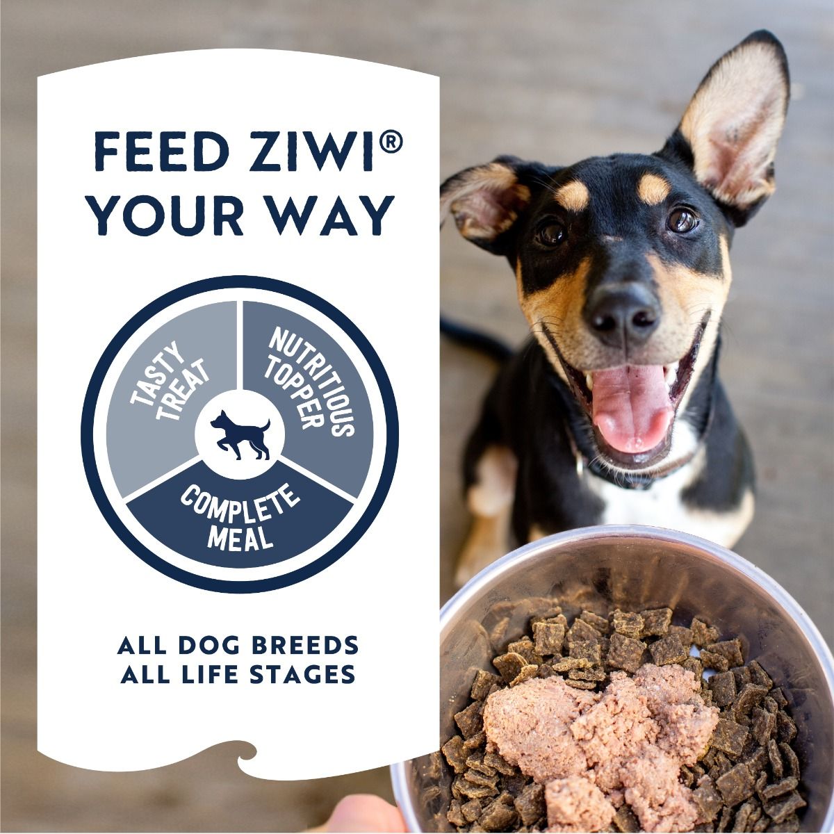 ZIWI Peak Beef Recipe Wet Dog Food (170g/390g)