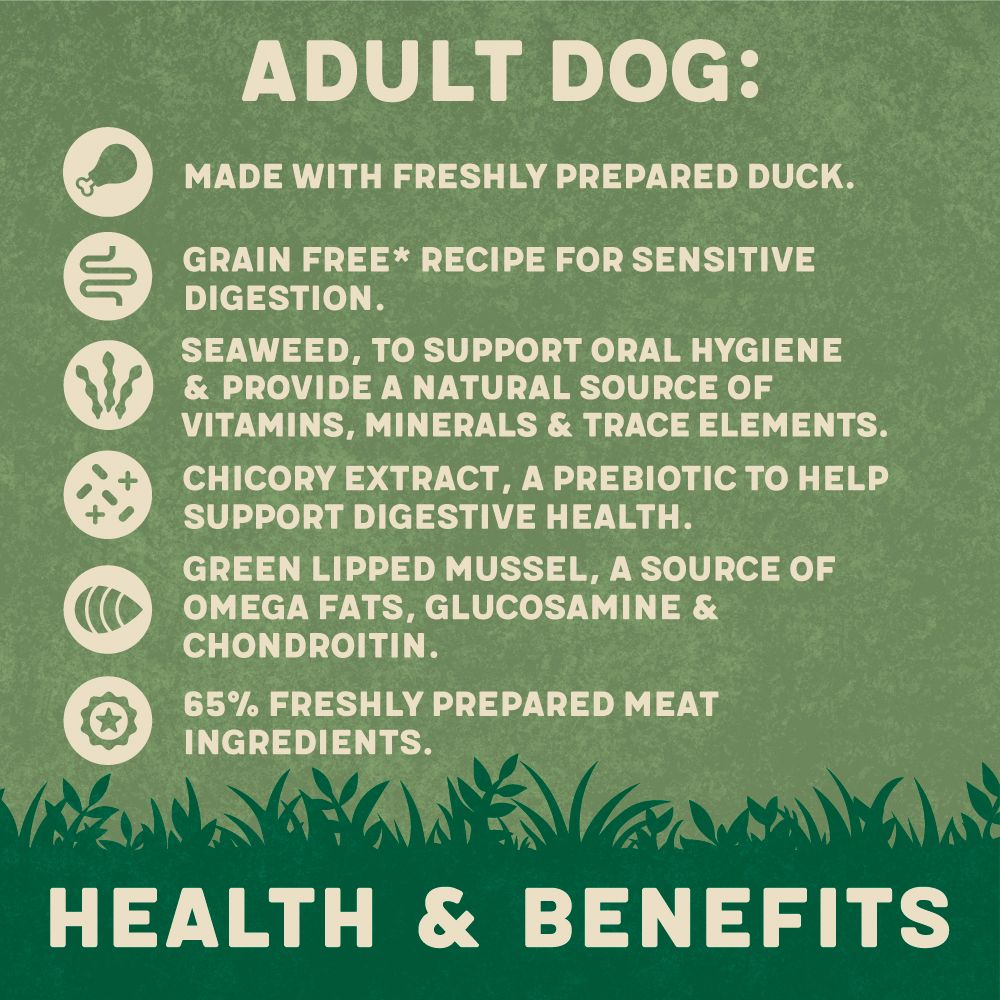 Harringtons Delicious Duck & Farm-Grown Veg Grain Free Wet Dog Food | Complete Adult | 400g