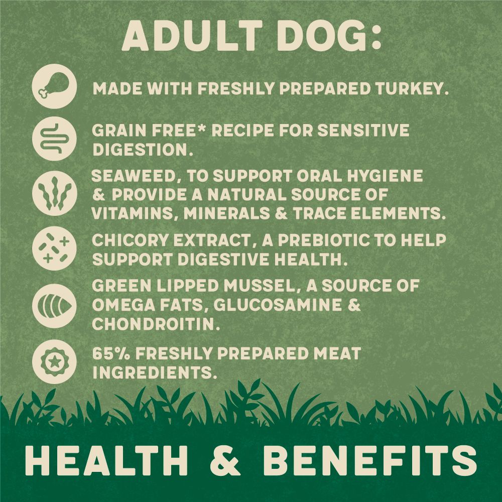 Harringtons Adult Salmon Grain Free Wet Dog Food | 65% Freshly Prepared Salmon | With Potato & Vegetables | 400g