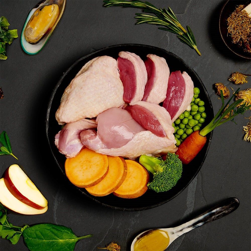 Canagan Turkey with Duck Dinner Wet Dog Food 400g