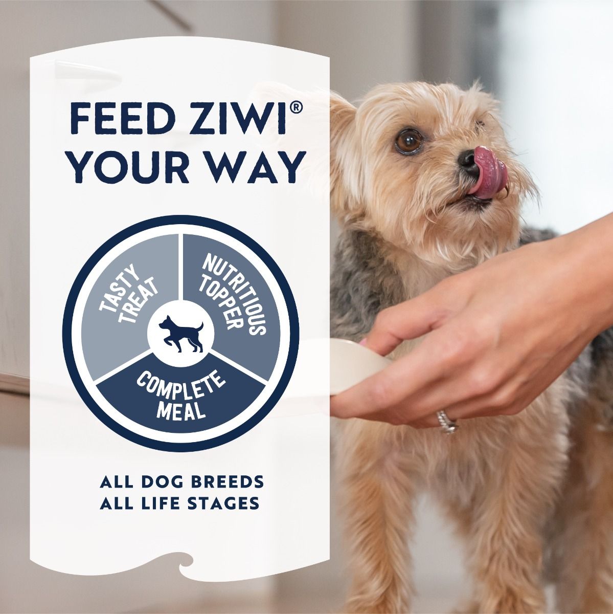ZIWI Peak Air-Dried Beef Recipe Dry Dog Food (1kg/2.5kg/4kg)