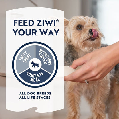 ZIWI Peak Air-Dried Beef Recipe Dry Dog Food (1kg/2.5kg/4kg)