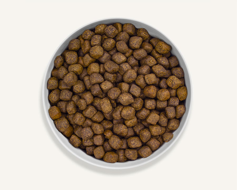Canagan Dental Free Run Turkey Dry Dog Food 12kg