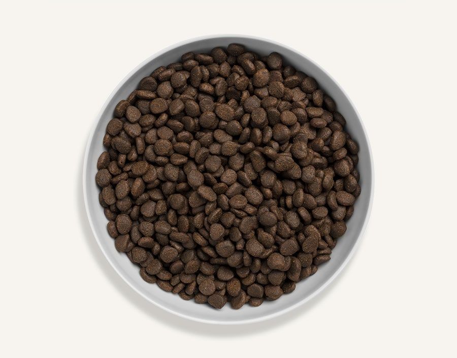 Canagan Scottish Salmon Dry Cat Food 4kg