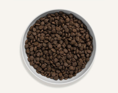 Canagan Scottish Salmon Dry Cat Food 4kg