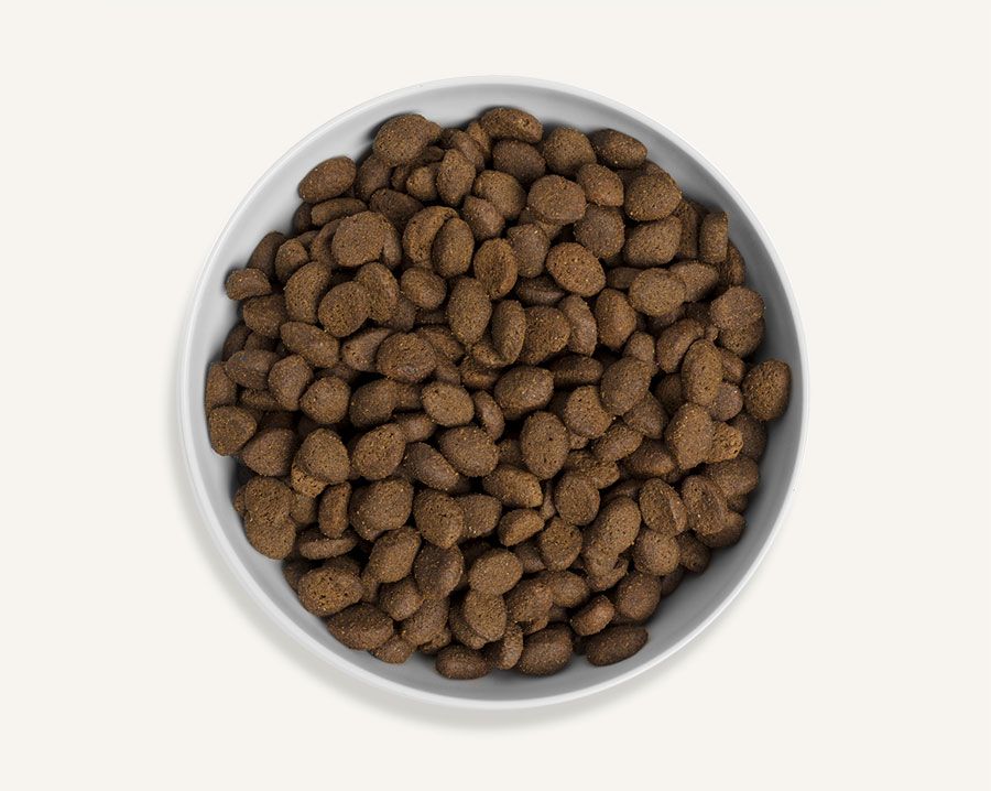 Canagan Country Game Dry Dog Food 4kg – All Life Stages