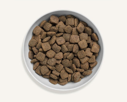 Canagan Grass-Fed Lamb Dry Dog Food 12kg