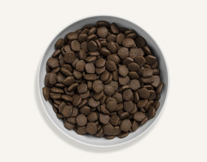Canagan Scottish Salmon Dry Dog Food 12kg