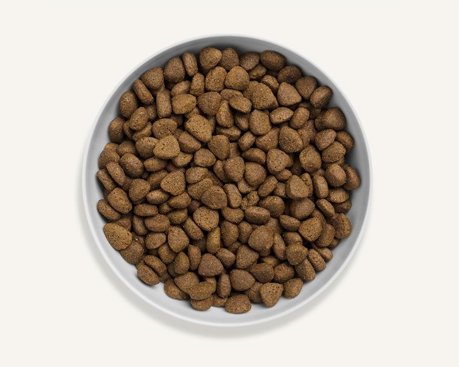 Canagan Free Range Chicken Dry Dog Food 12 kg