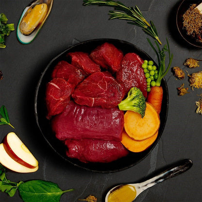 Canagan Venison & Wild Boar Stew Wet Dog Food 400g