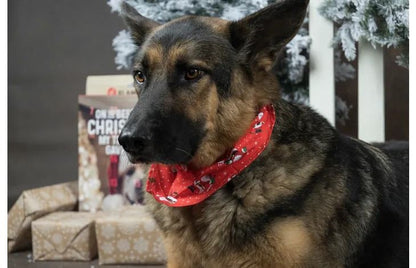 Flamingo Mik Red Christmas Dog Bandana | Festive Holiday Accessory for Dogs