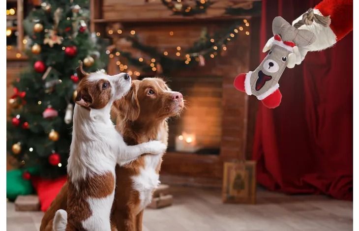 Flamingo Beto Bone + Rope Squeaky Christmas Dog Toy | Festive Plush Chew Toy for Holidays