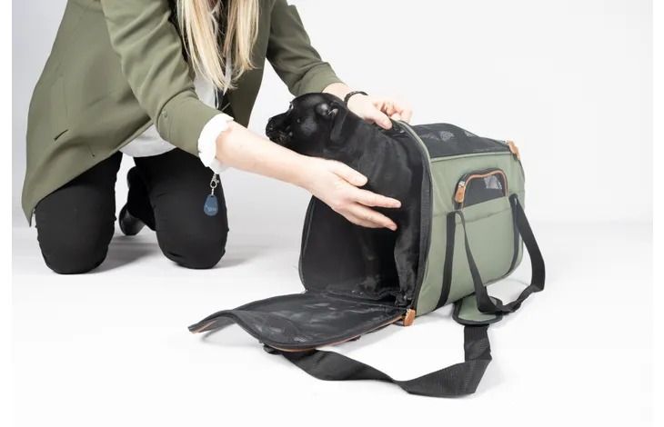 Flamingo Gisel Dog Carrying Bag Green | Durable Pet Travel Carrier for Small Dogs