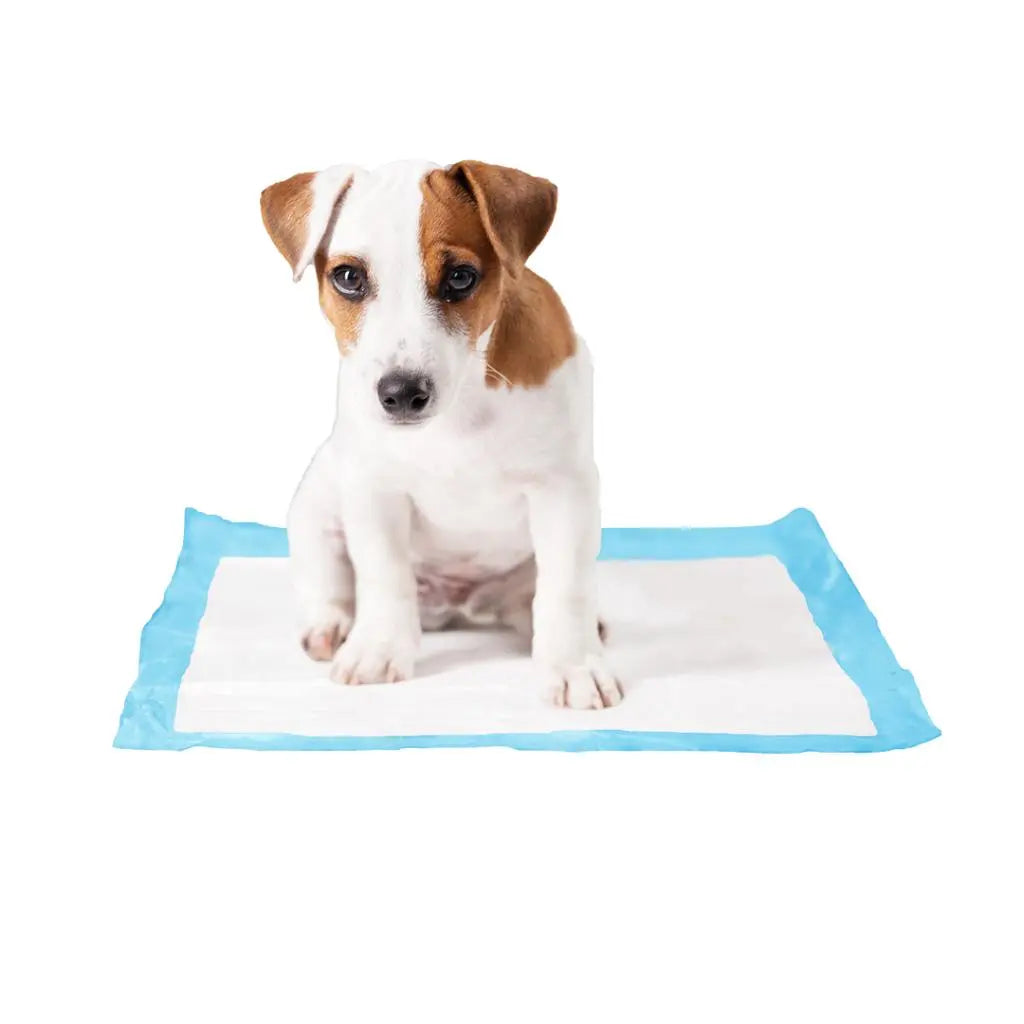 Duvo+ Pet Pad Medium 30pcs | Puppy Training Pads for Small Dogs