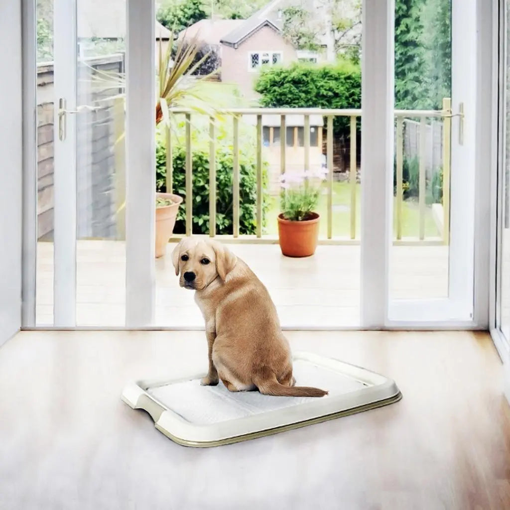 Duvo+ Pet Pad Large 30pcs | Highly Absorbent Puppy Training Pads