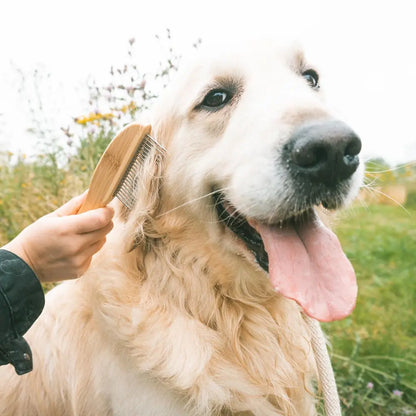 Duvo+ Detangling Comb | 21-Tooth Pet Grooming Comb