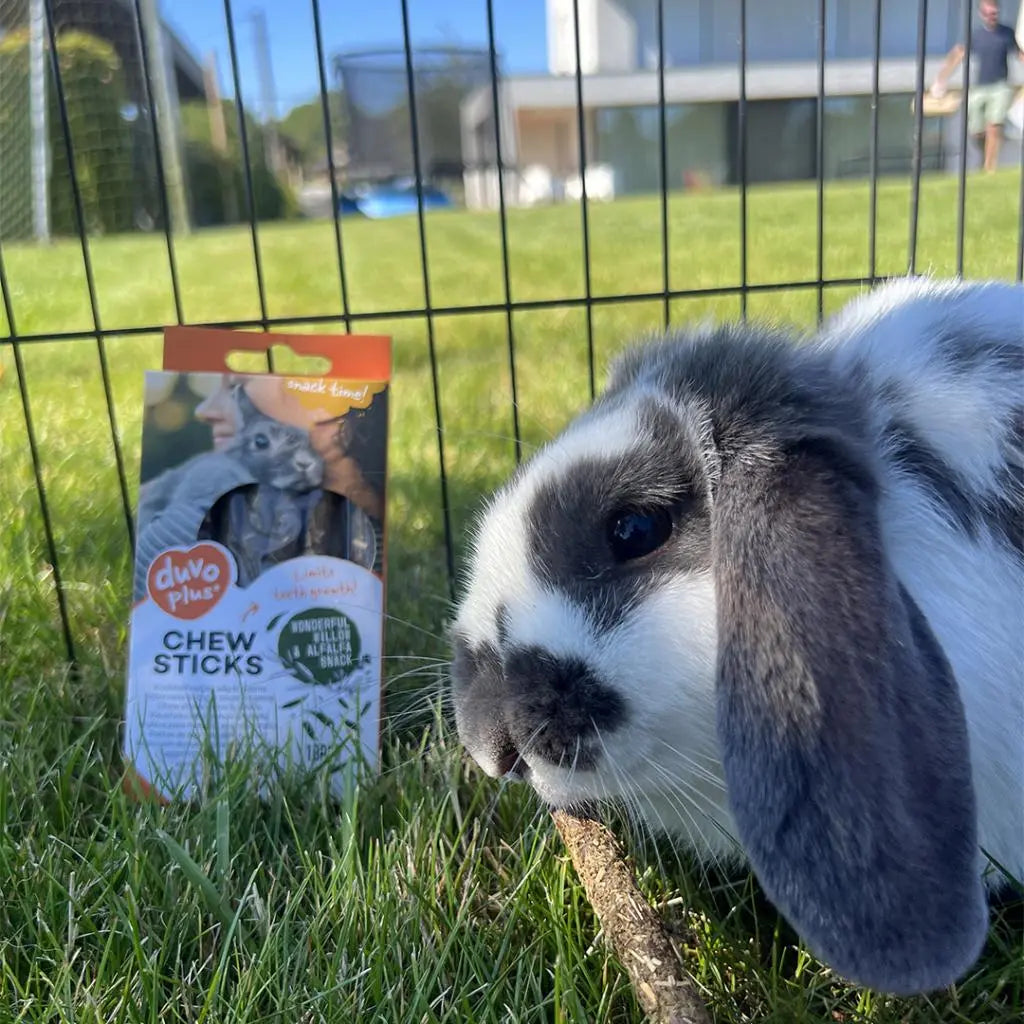 Duvo+ Chew Sticks Willow & Alfalfa 70g | Natural Chews for Rabbits & Small Animals